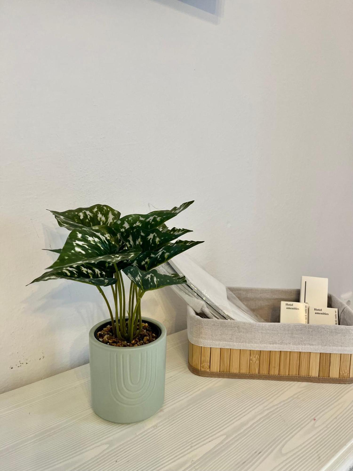 Aleria 2 Apartment